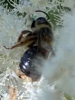 View photo in a new window