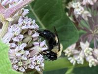 View photo in a new window