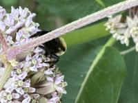 View photo in a new window