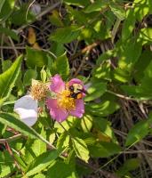 View photo in a new window