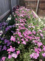 View photo in a new window