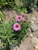 View photo in a new window