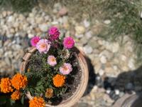 View photo in a new window