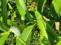 View photo in a new window