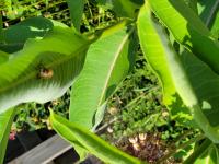 View photo in a new window