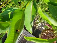 View photo in a new window