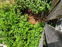 View photo in a new window