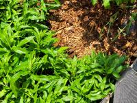 View photo in a new window