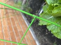 View photo in a new window