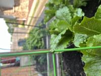 View photo in a new window