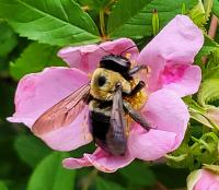 View photo in a new window