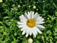 View photo in a new window