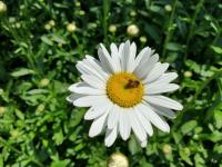 View photo in a new window