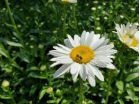 View photo in a new window