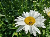 View photo in a new window