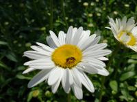 View photo in a new window