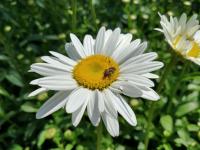 View photo in a new window