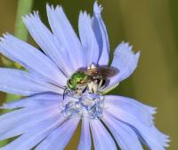 View photo in a new window