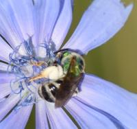 View photo in a new window