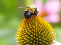 View photo in a new window