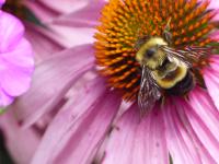 View photo in a new window