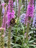 View photo in a new window