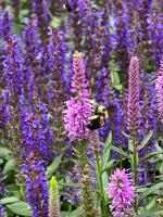 View photo in a new window