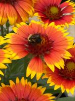 View photo in a new window