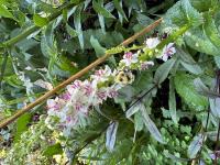 View photo in a new window