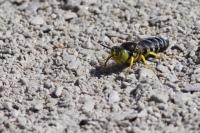 View photo in a new window