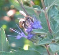 View photo in a new window