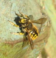 View photo in a new window