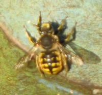 View photo in a new window