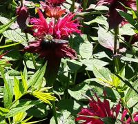 View photo in a new window