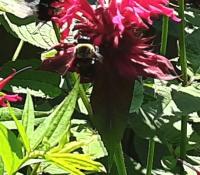 View photo in a new window