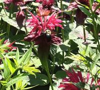 View photo in a new window