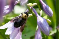 View photo in a new window