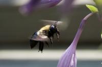 View photo in a new window