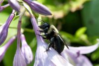 View photo in a new window