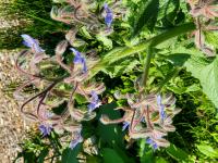 View photo in a new window