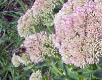 View photo in a new window