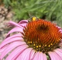 View photo in a new window