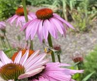 View photo in a new window