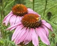 View photo in a new window