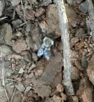 View photo in a new window