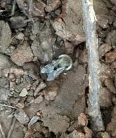 View photo in a new window