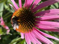 View photo in a new window