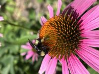 View photo in a new window