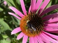 View photo in a new window