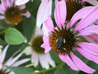 View photo in a new window